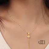 پلاک ونکلیف کراواتی