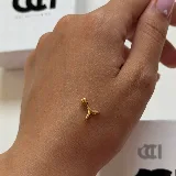 پلاک دم وال بزرگ