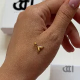 پلاک دم وال
